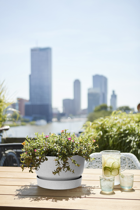 greenville schale 33cm living beton